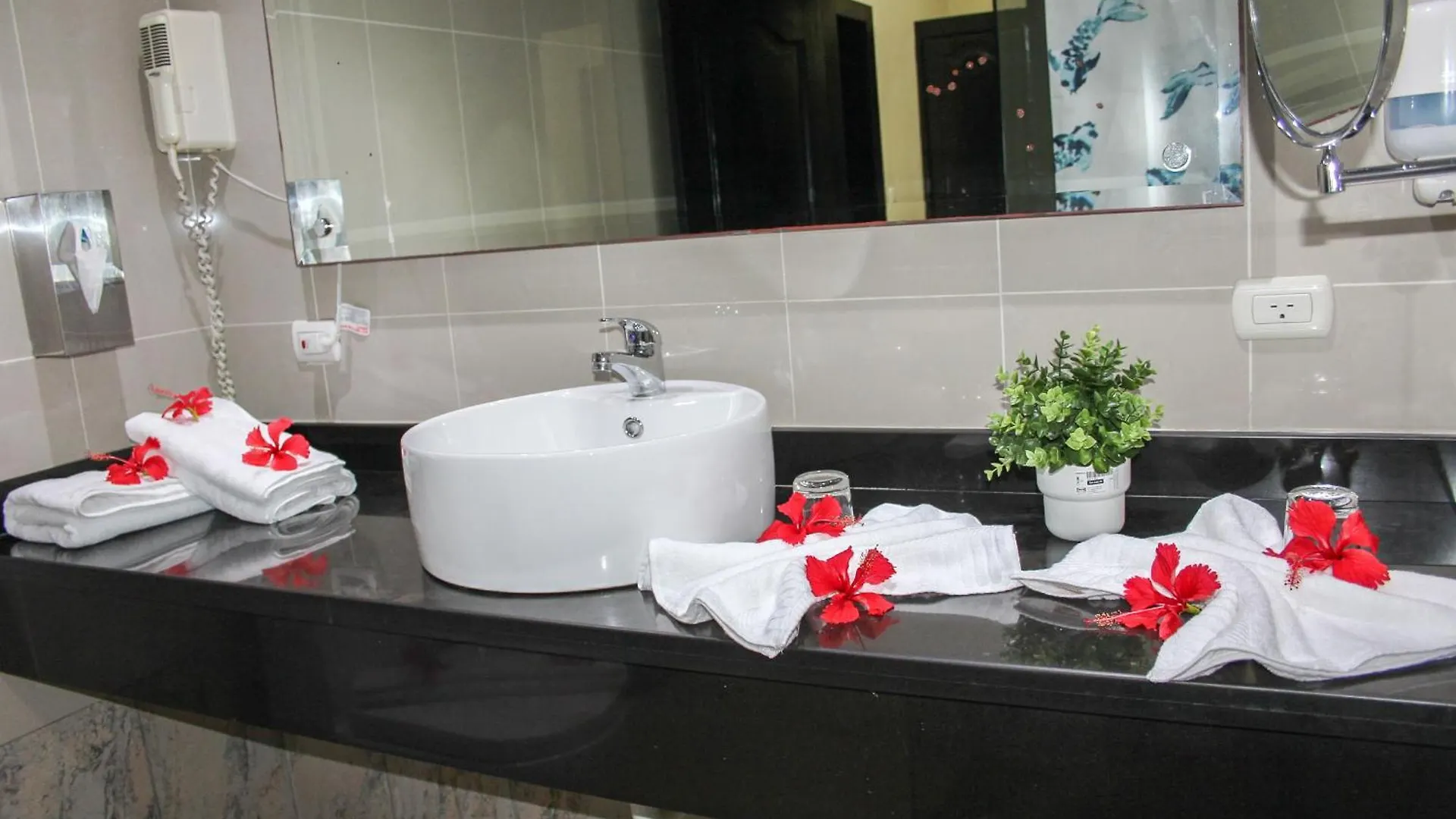 ***  Hotel Plaza Brisas Mt 蓬塔卡纳 多米尼加共和国