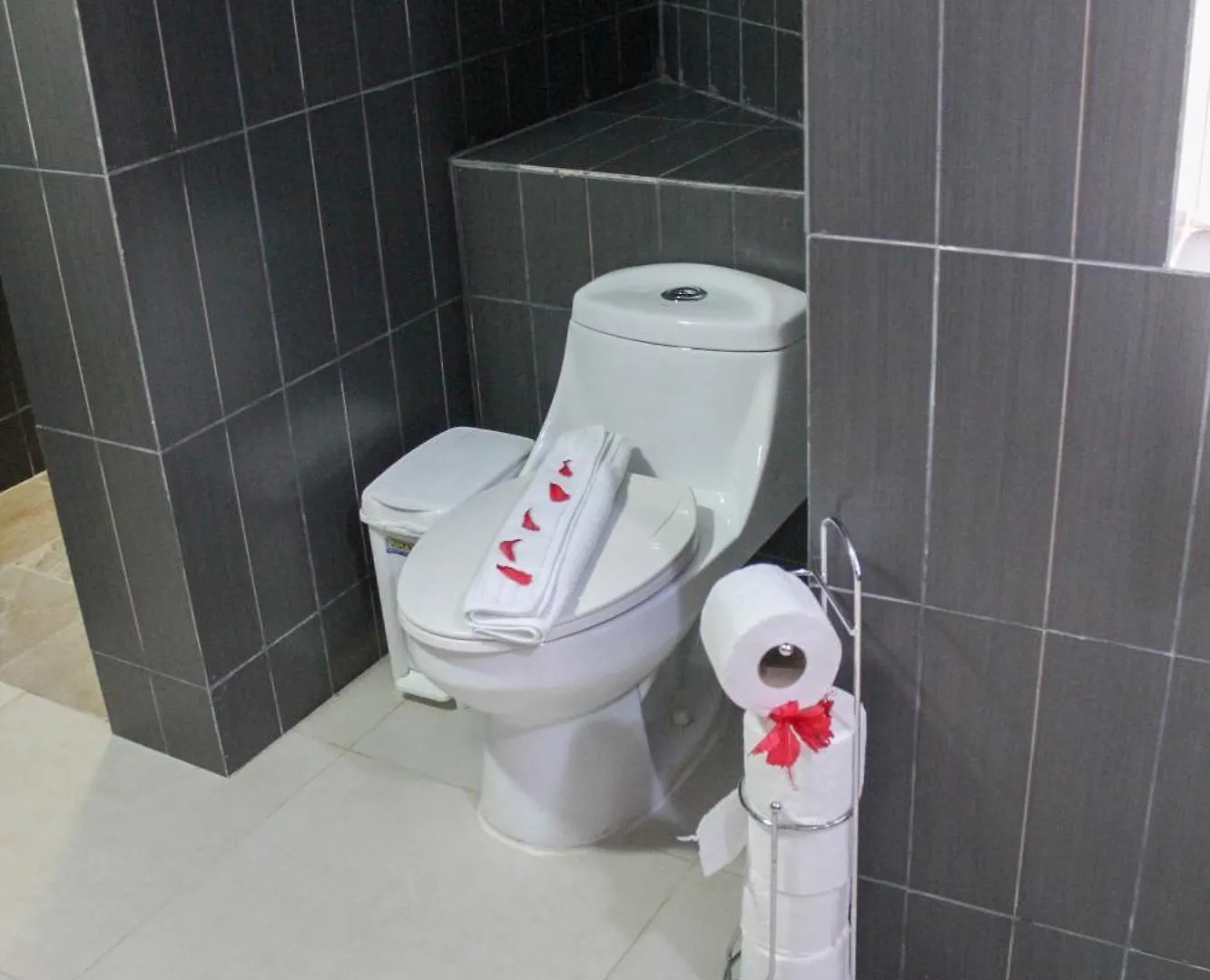 Hotel Plaza Brisas Mt 蓬塔卡纳