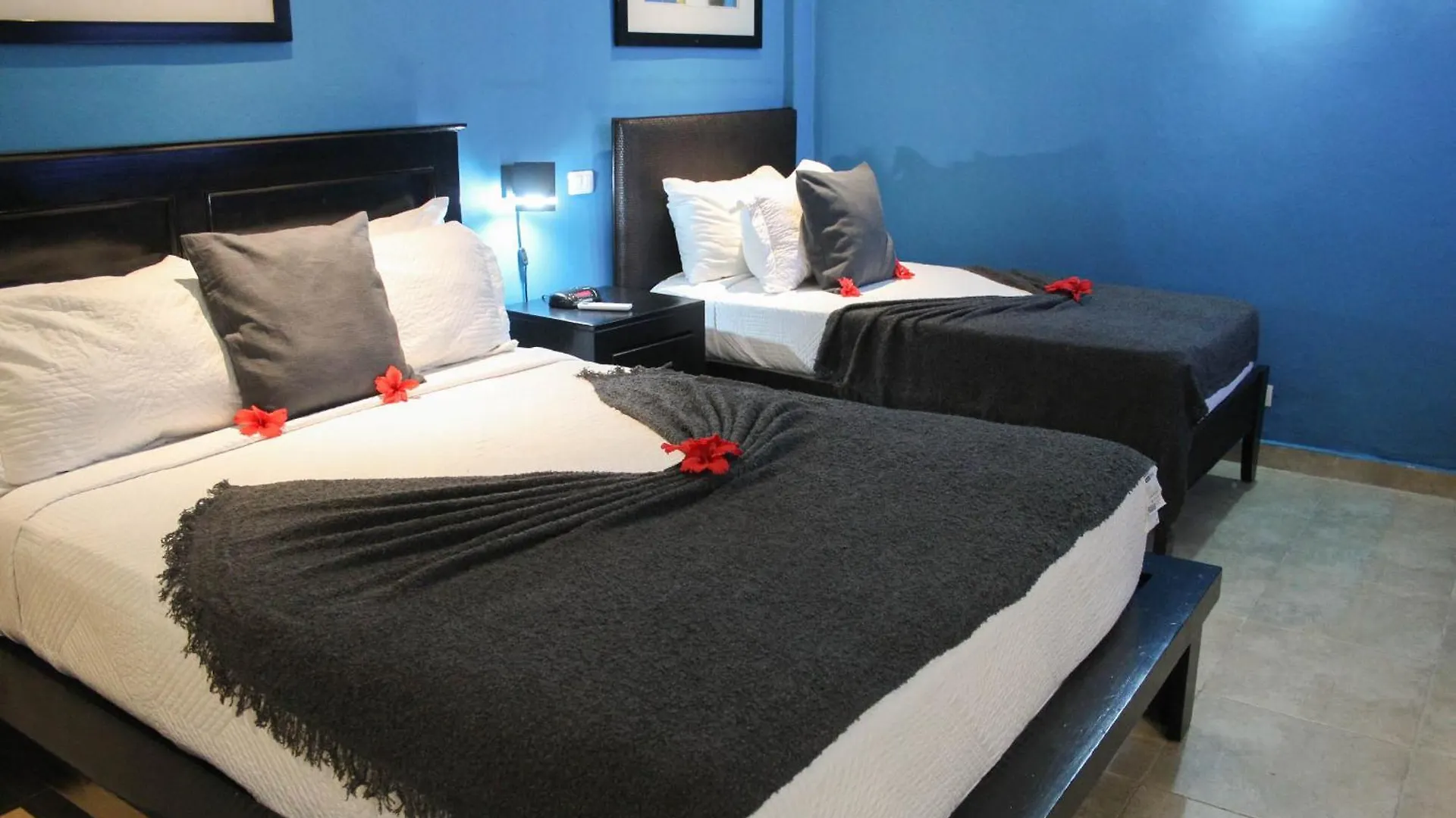 Hotel Plaza Brisas Mt Punta Cana