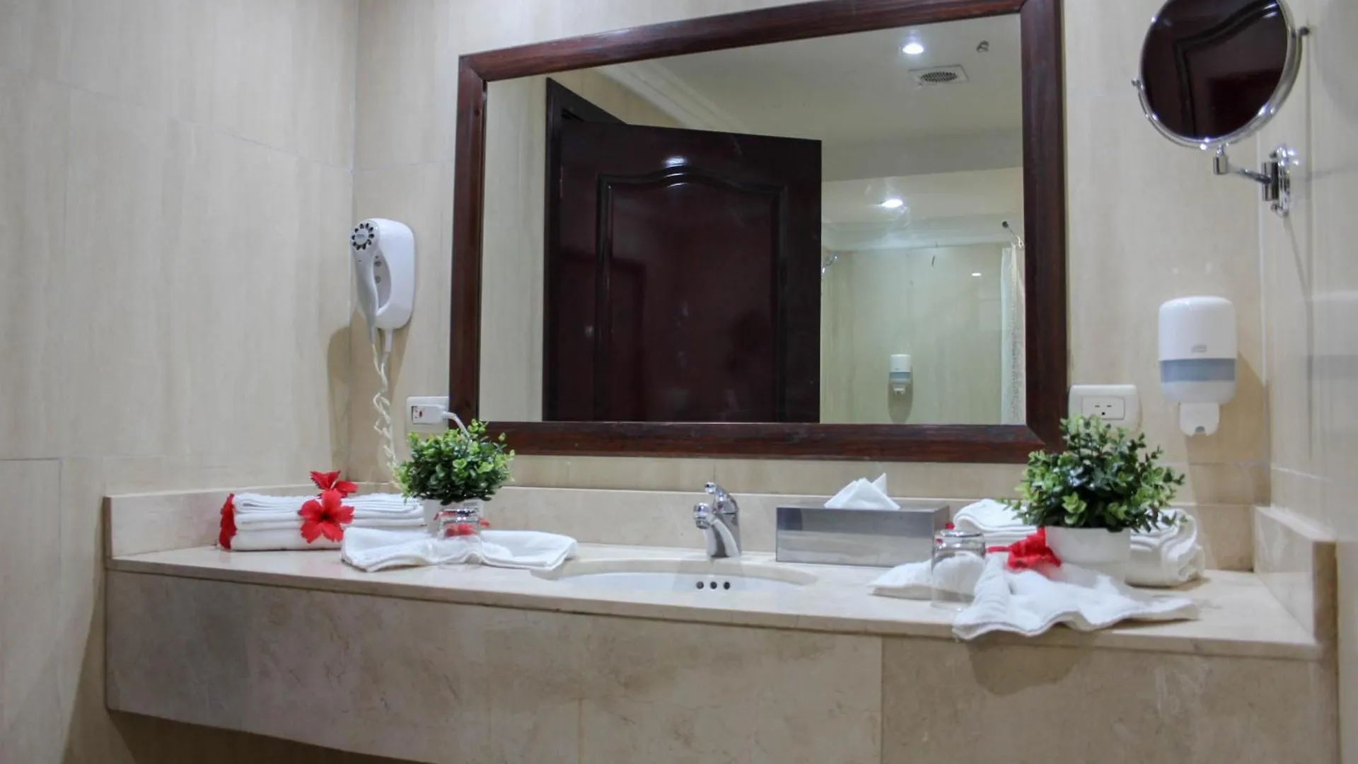 Hotel Plaza Brisas Mt Punta Cana