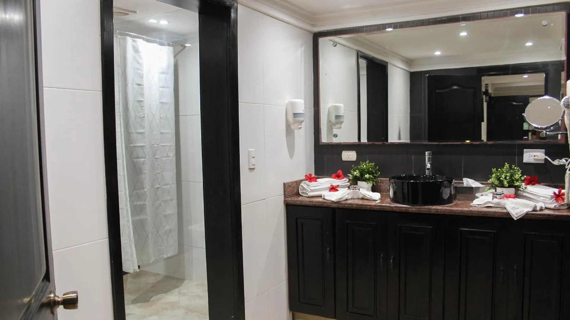 Hotel Plaza Brisas Mt Punta Cana