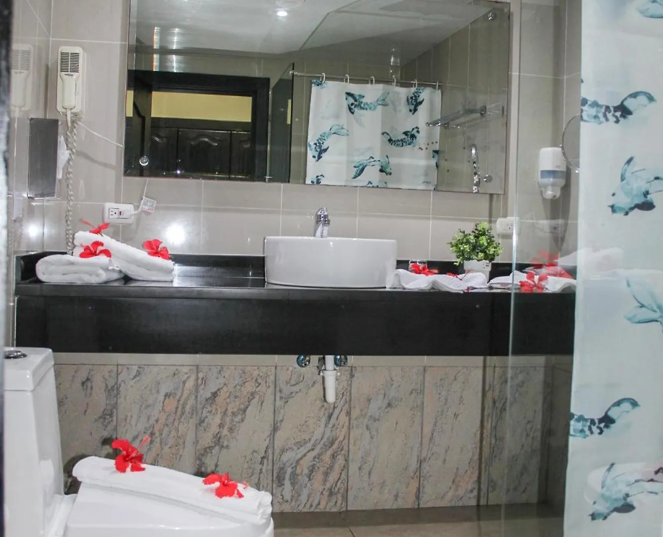 Hotel Plaza Brisas Mt Punta Cana
