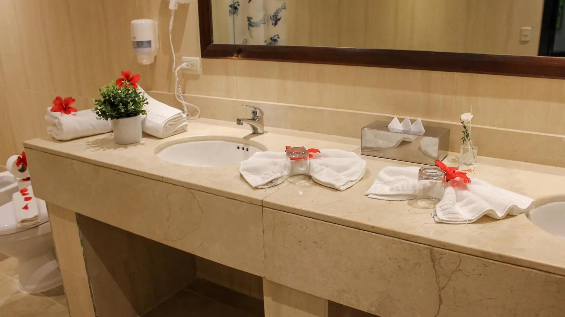 Hotel Plaza Brisas Mt Punta Cana