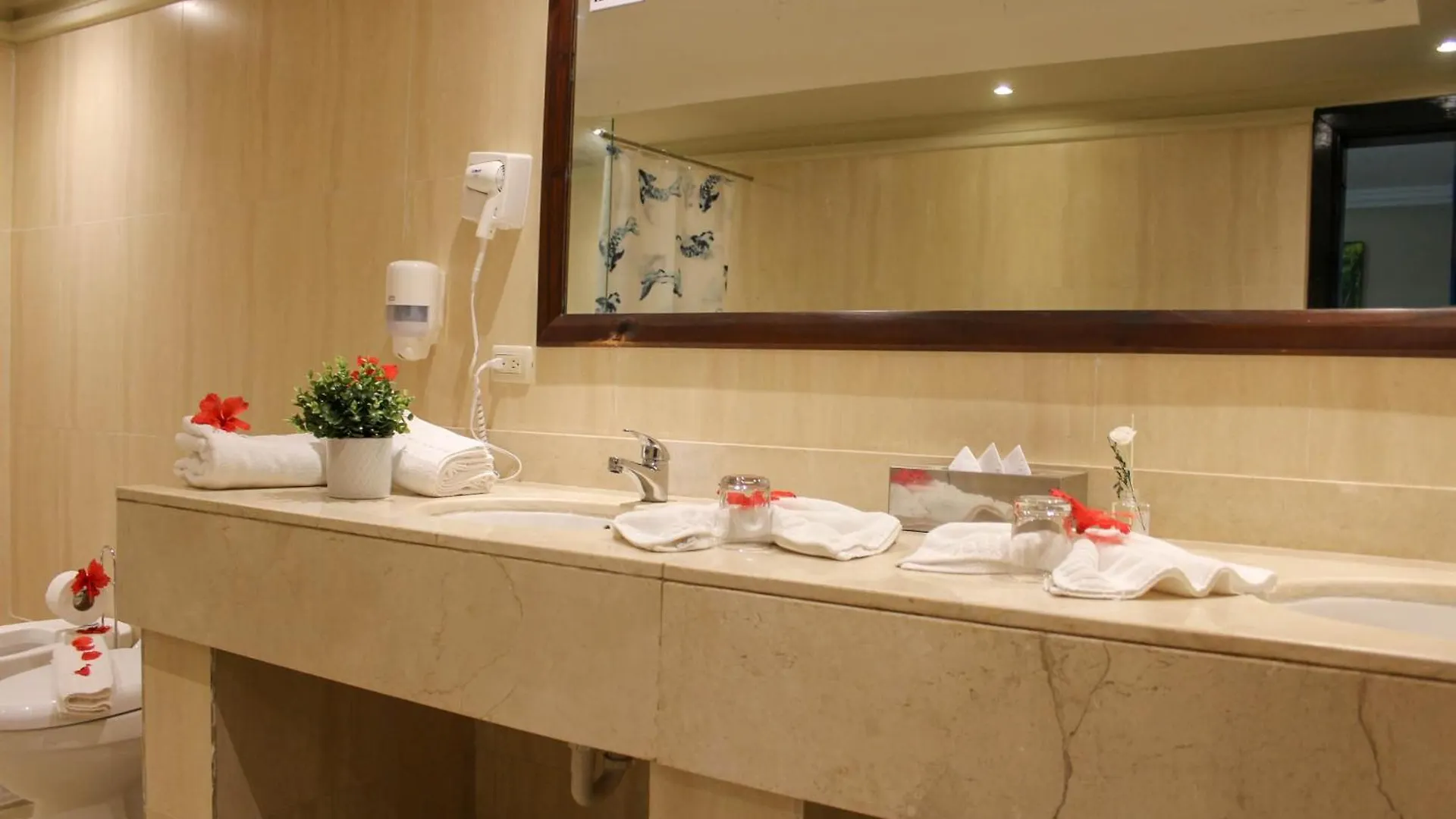 Hotel Plaza Brisas Mt Punta Cana