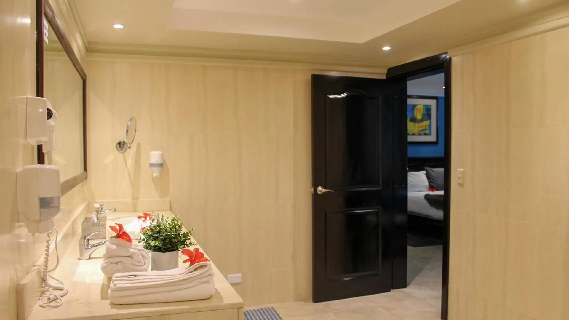 Hotel Plaza Brisas Mt Punta Cana